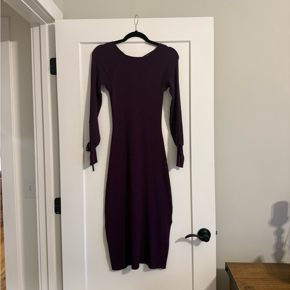 Free Assembly Long Sleeve Purple Dress